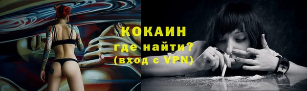 амф Козловка