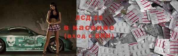 амф Козловка