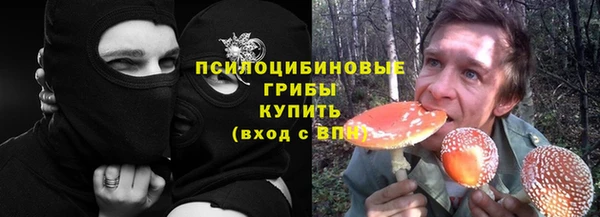 дмт Козельск
