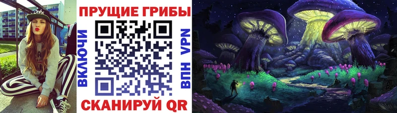 Купить закладки  Пятигорск  Галлюциногенные грибы ЛСД 